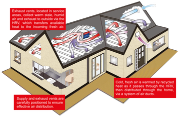 Ultimate Home Ventilation Guide: Why Your House Must Breathe
