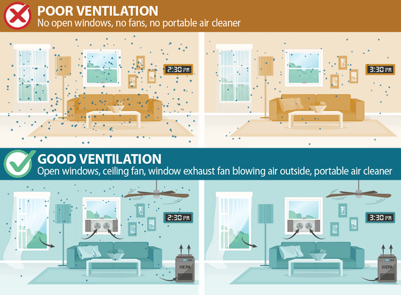 Breathe Easy: The Complete Guide to Home Ventilation and Air Quality